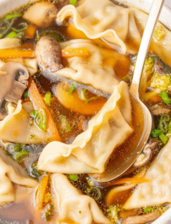 Potsticker Soup Recipe