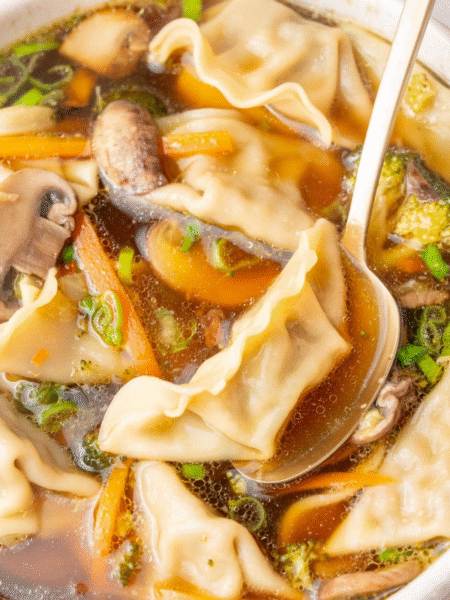 Potsticker Soup Recipe