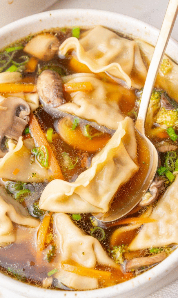 Potsticker Soup Recipe