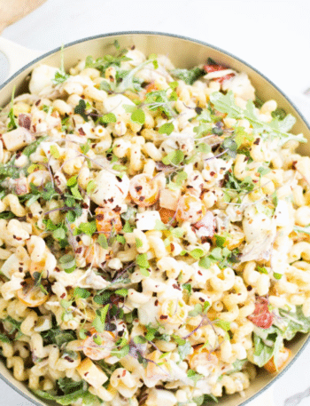 Summer Vegetable Pasta Salad Recipe