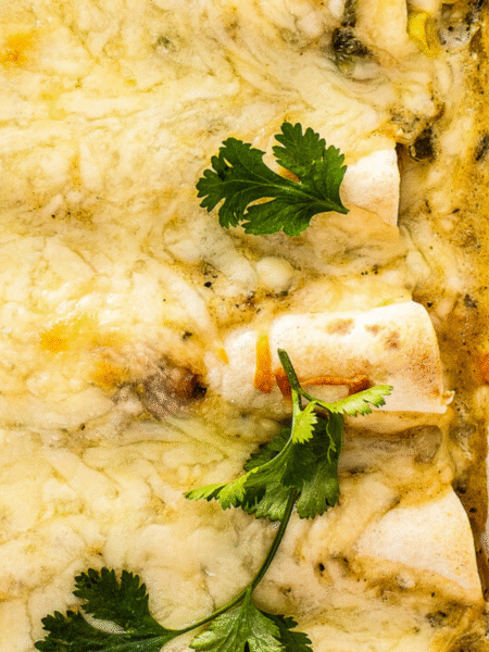Creamy White Chicken Enchiladas Recipe