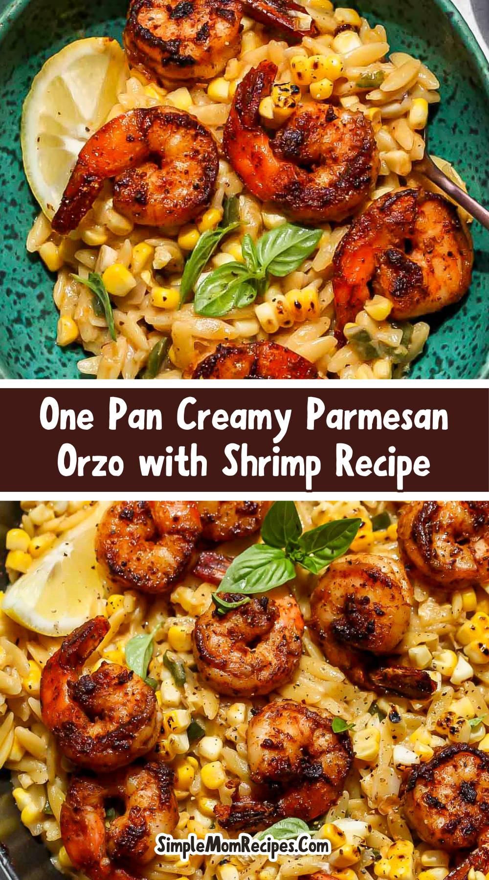 How to make One Pan Creamy Parmesan Orzo with Shrimp Recipe