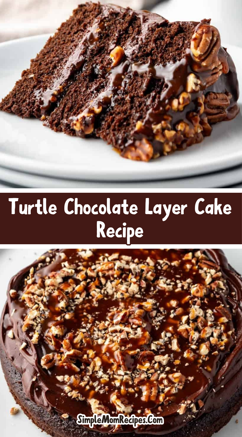 Turtle Chocolate Layer Cake Recipe