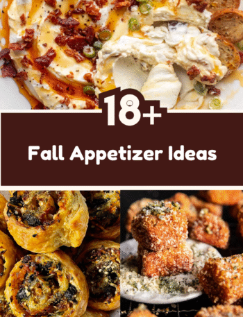 18+ Fall Appetizer Ideas