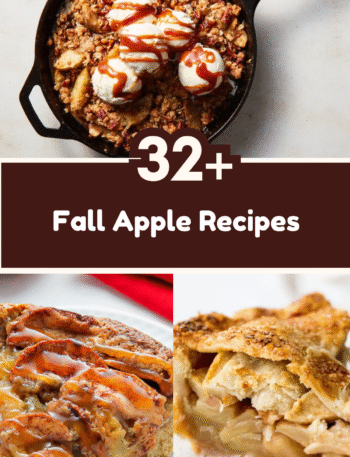 32+ Fall Apple Recipes