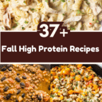 37+ Fall High Protein Recipes