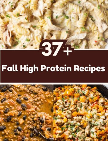 37+ Fall High Protein Recipes