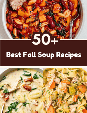 50+ Best Fall Soup Recipes