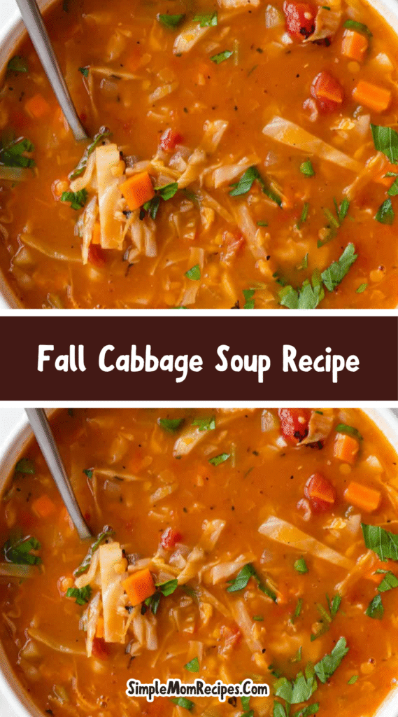 How to make Cabbage Soup Recipe