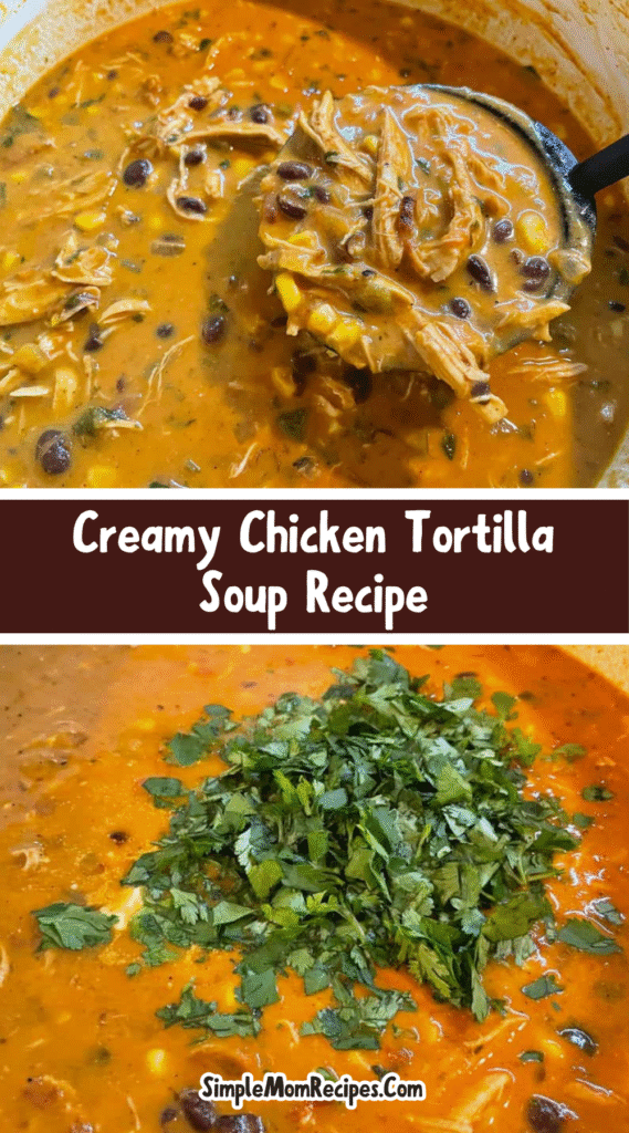 How to make Creamy Chicken Tortilla Soup Recipe