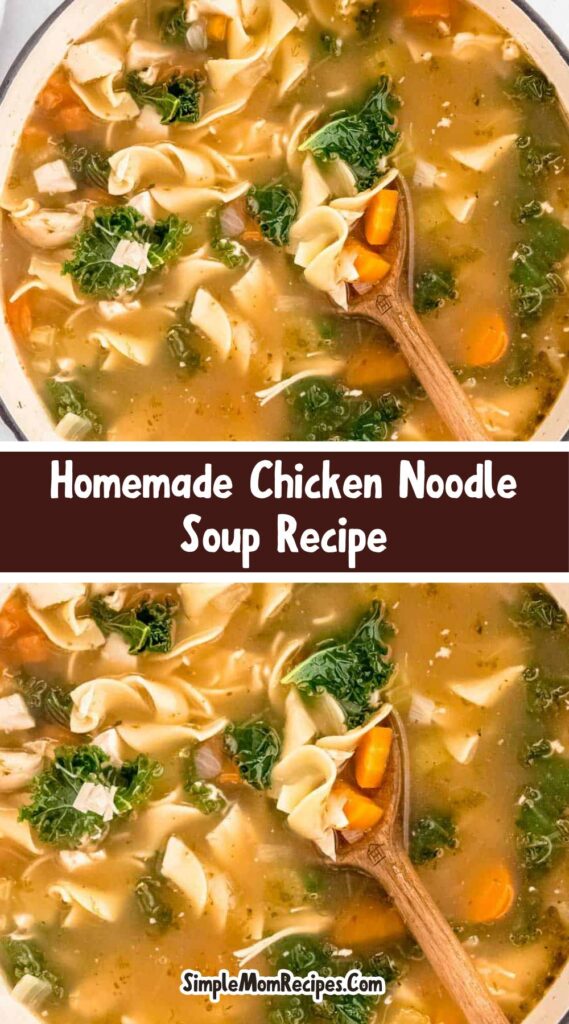 How to make Homemade Chicken Noodle Soup Recipe