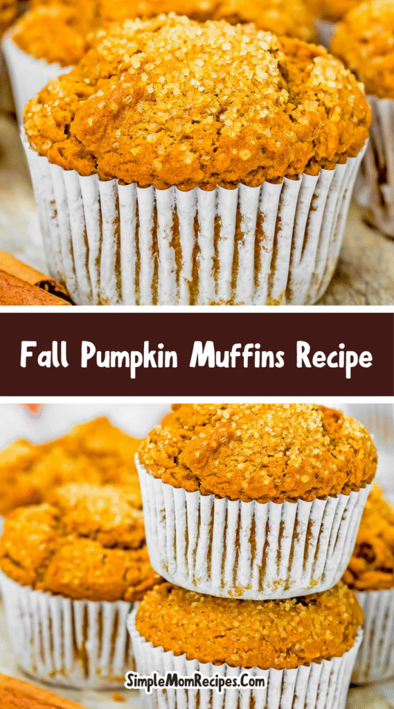 How to make fall Pumpkin Muffins Recipe