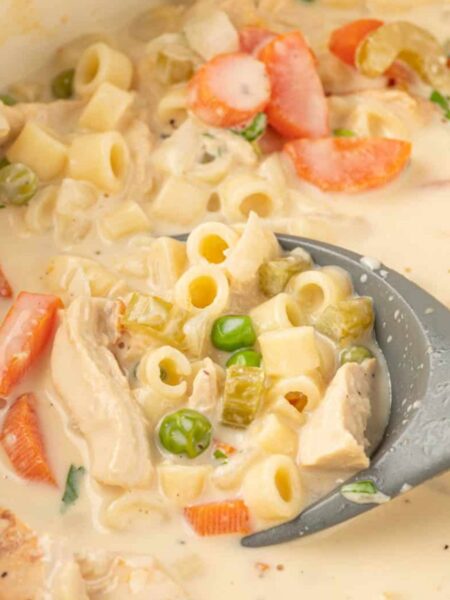 Chicken Vegetable Soup Recipe