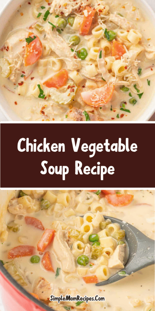 How to make Chicken Vegetable Soup Recipe