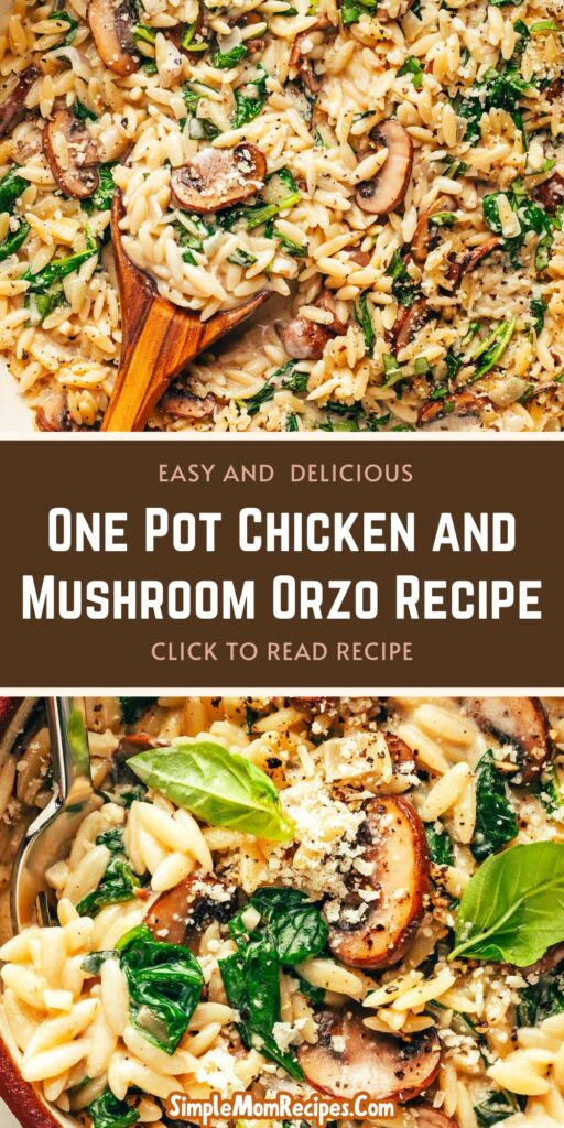 How to make One Pot Chicken and Mushroom Orzo Recipe