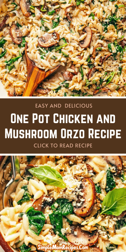 How to make One Pot Chicken and Mushroom Orzo Recipe