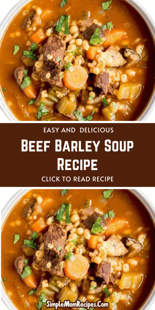 Beef Barley Soup Recipe