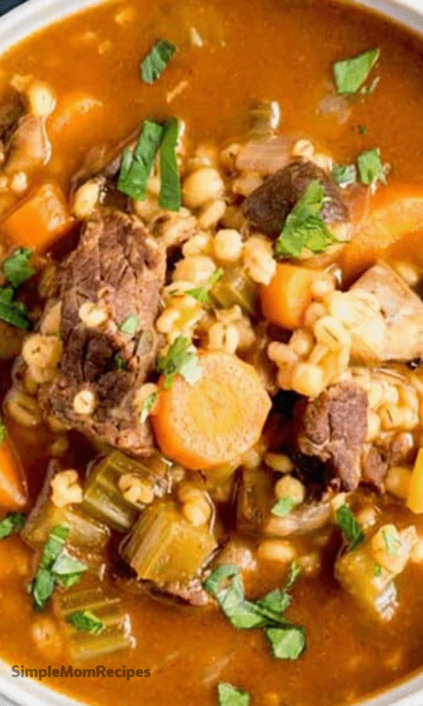 Beef Barley Soup Recipe