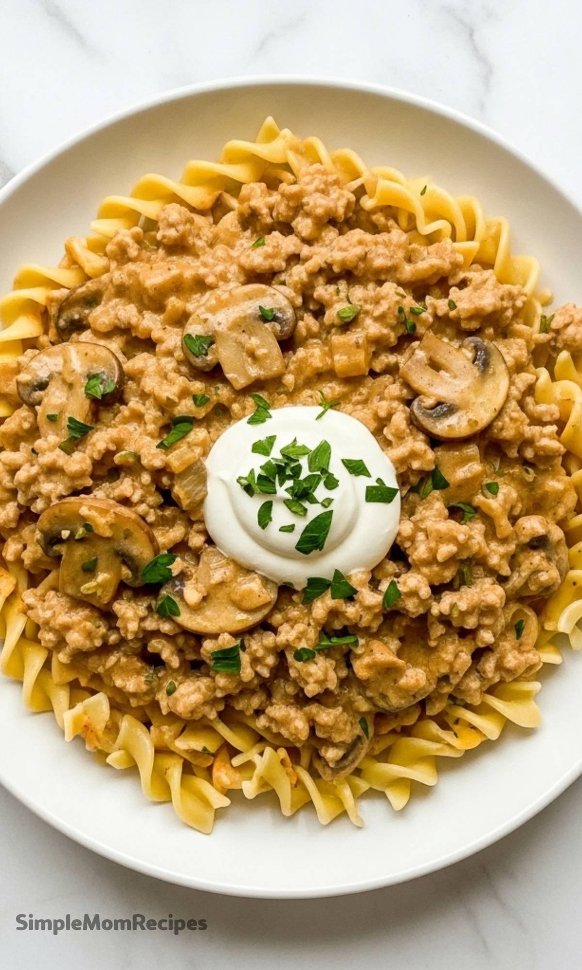 Ground Turkey Spaghetti Recipe – Simple Mom Recipes
