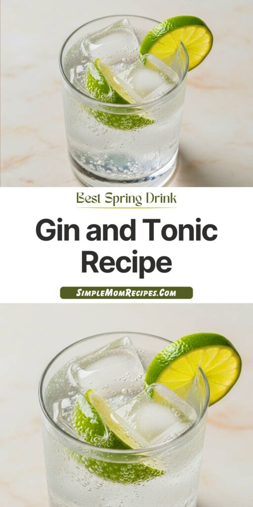 Gin and Tonic Recipe