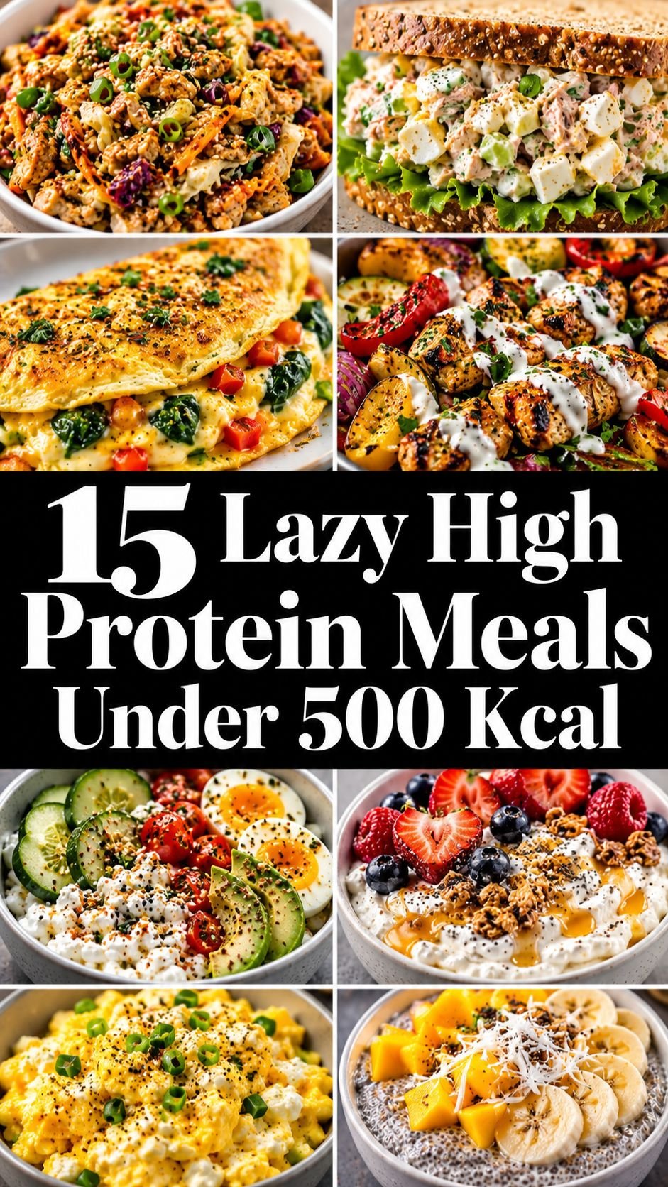 15 Lazy High Protein Meals Under 500 Kcal